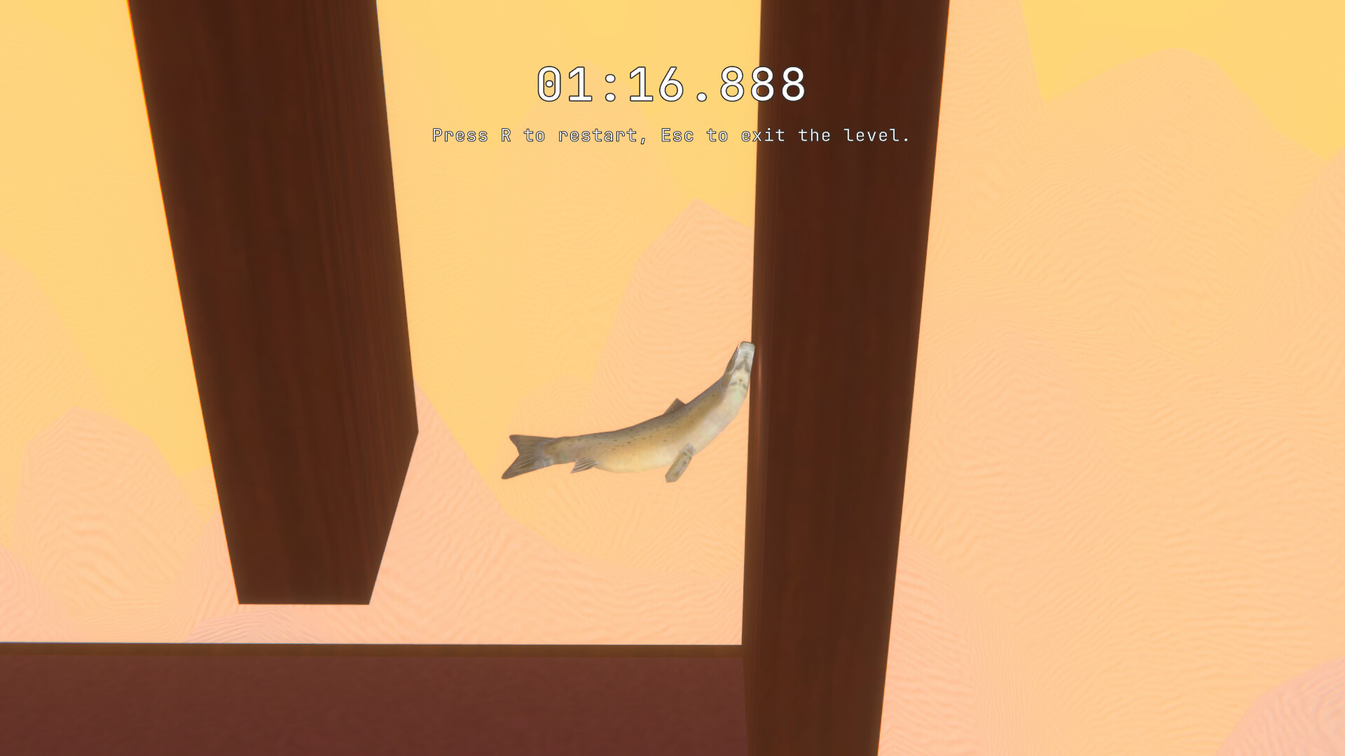 SALMON screenshot #2