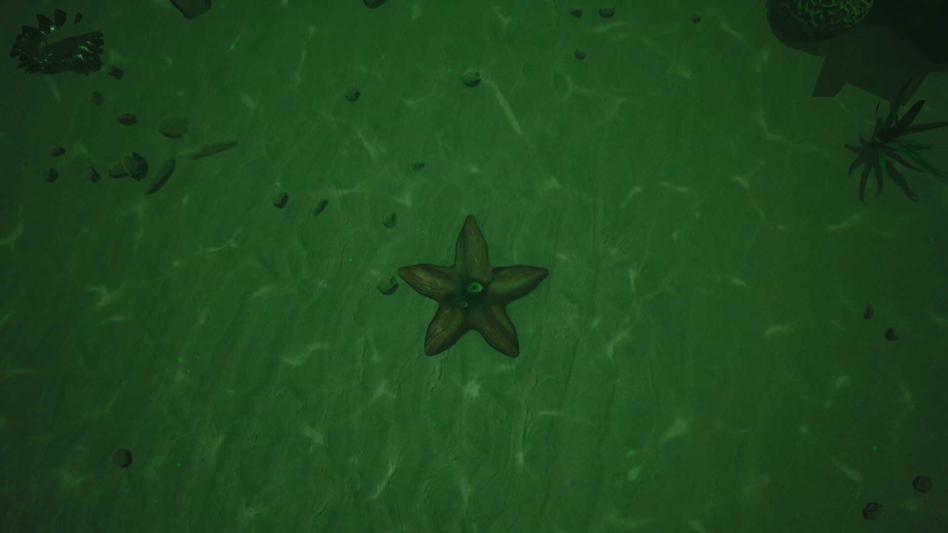 Starfish Simulator 👍 screenshot #8