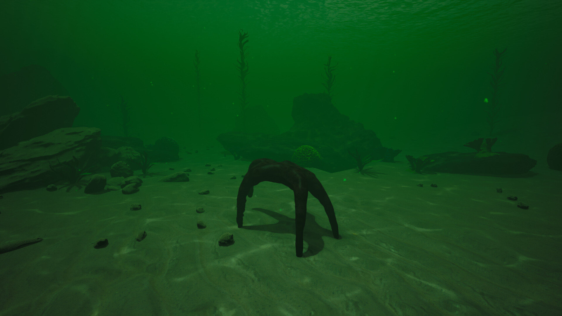 Starfish Simulator 👍 screenshot #3