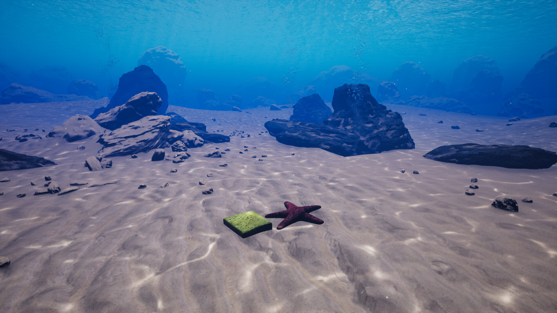 Starfish Simulator 👍 screenshot #2