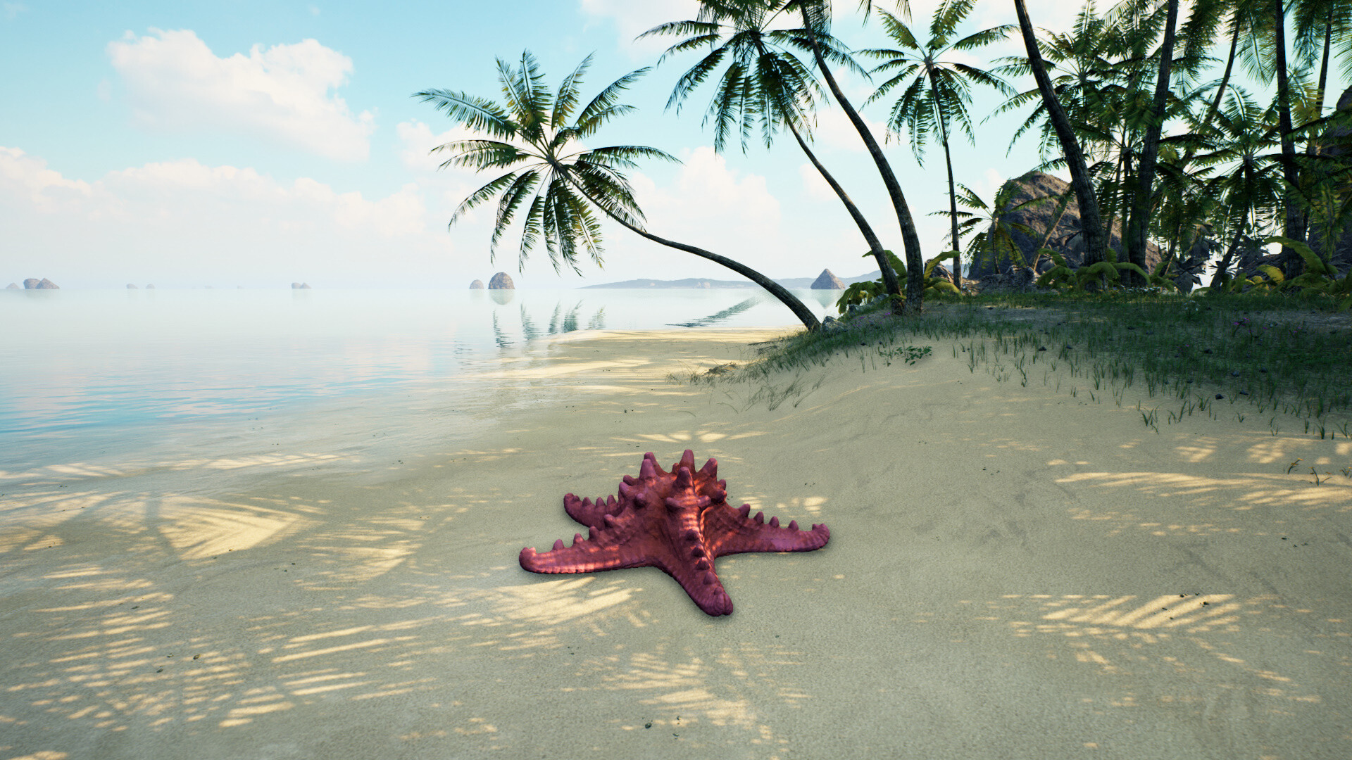 Starfish Simulator 👍 Featured Screenshot #1