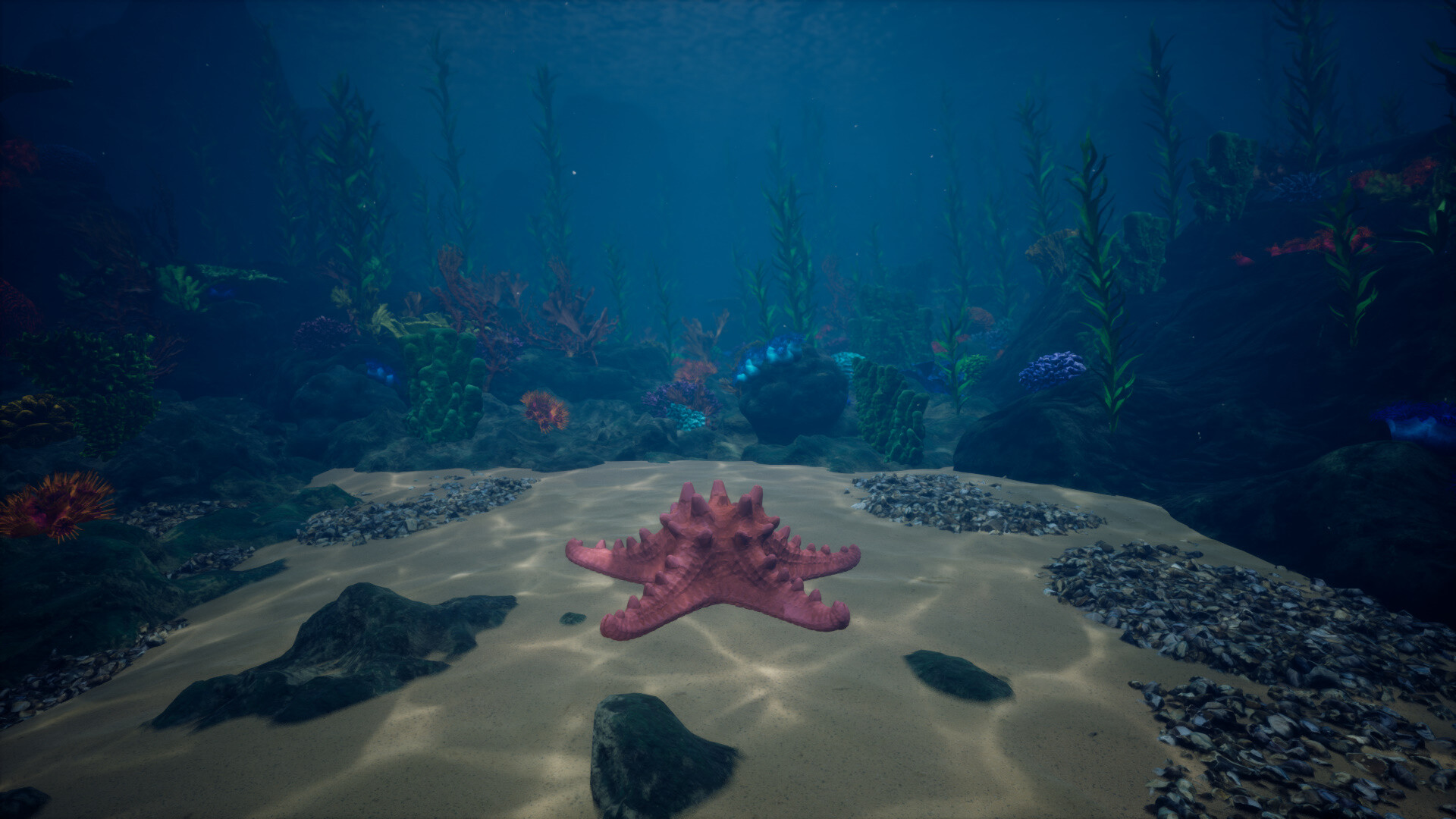 Starfish Simulator 👍 screenshot #4