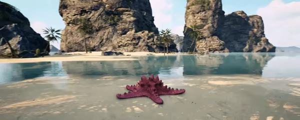 Starfish Simulator π video 1