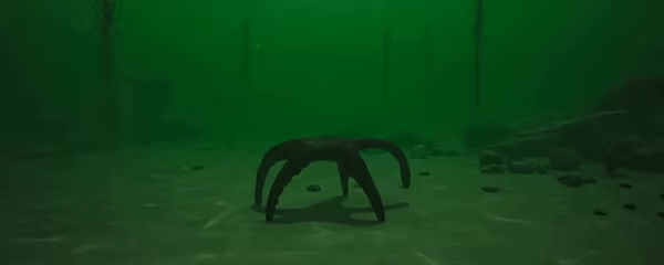Starfish Simulator π video 2