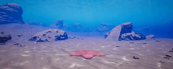 Starfish Simulator π video 3