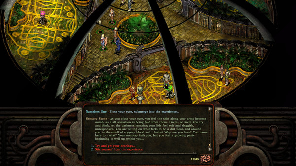 Planescape: Torment: Enhanced Edition.