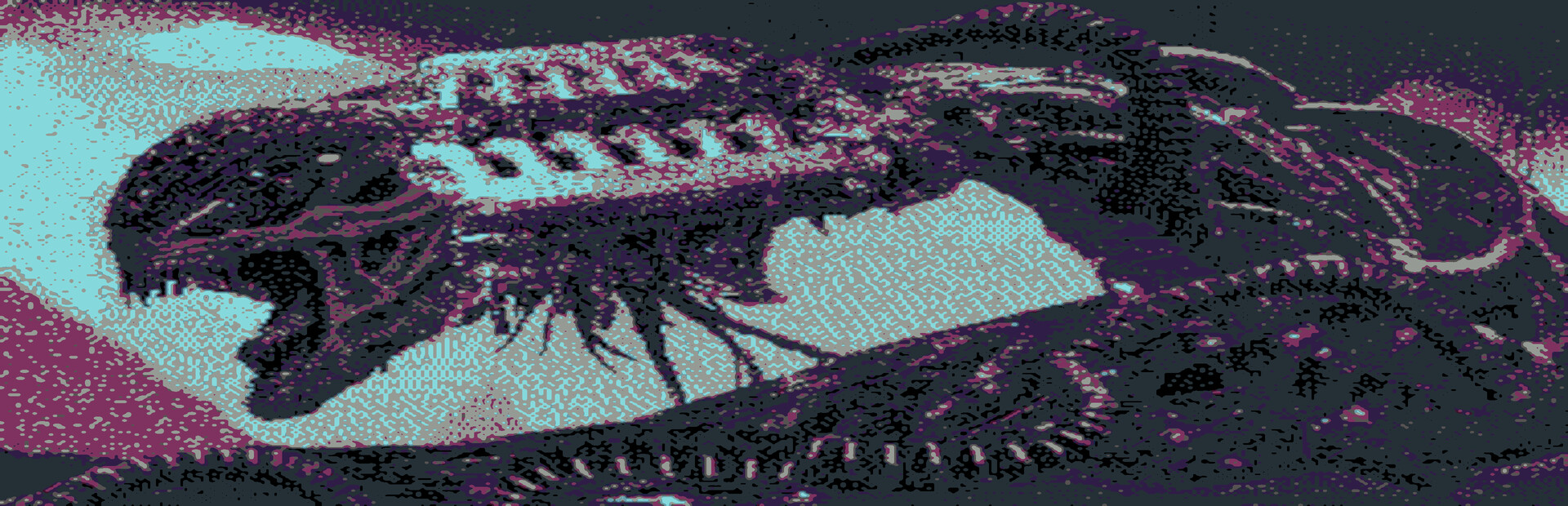 Hyperwurm is back!