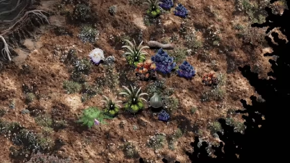 Mycelium Conquest video 2