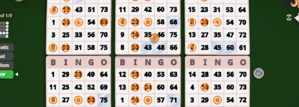 Capybara Bingo video 1