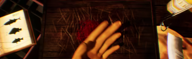 Hookeye video 4