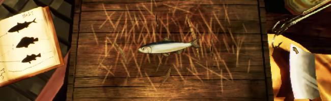 Hookeye video 2