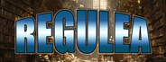 Capsule media