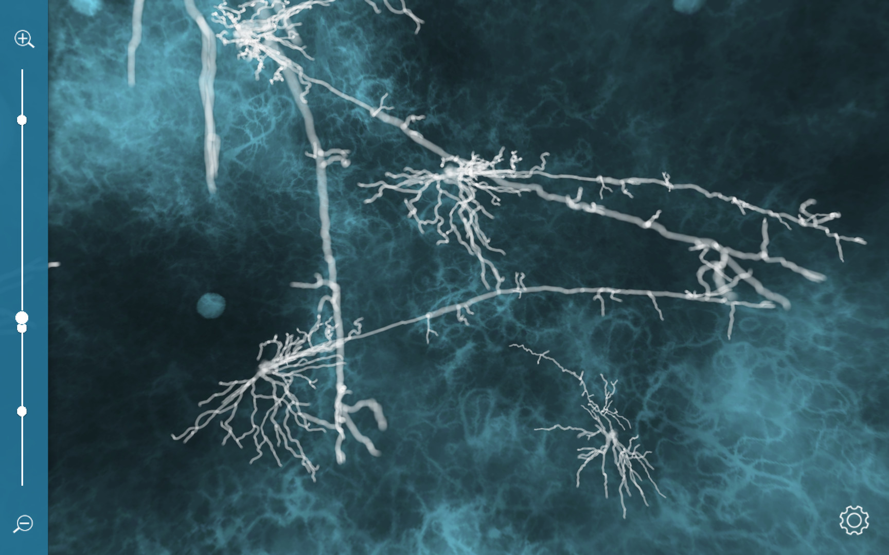 #8. C O S M (Steam) Bởi: Dynamoid