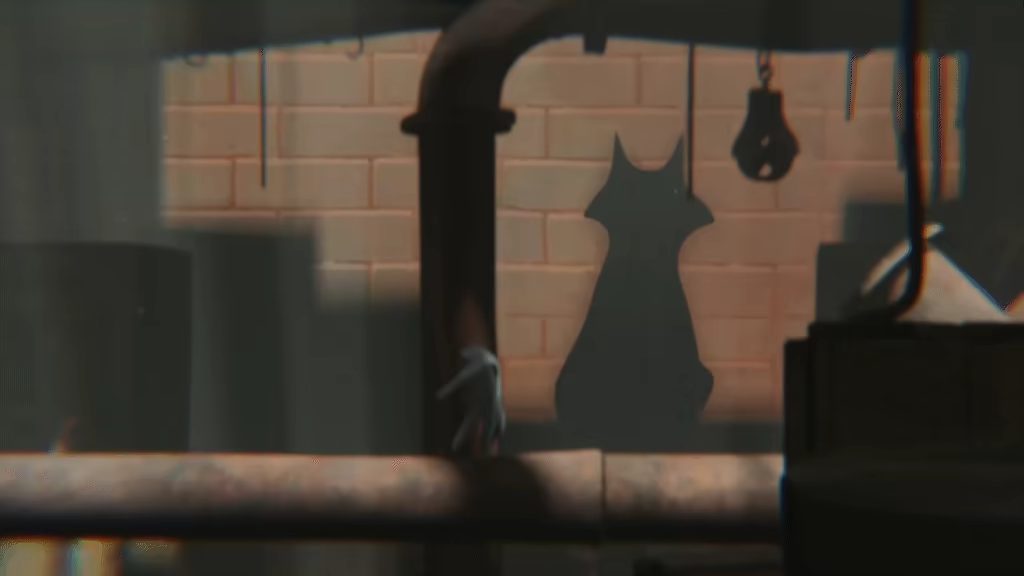 The Magician's Hand video 5