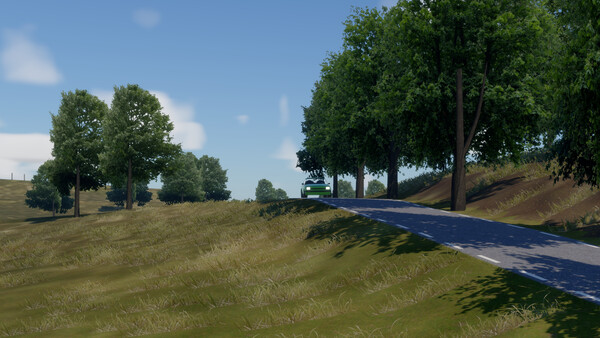 Sprint Rally screenshot 8