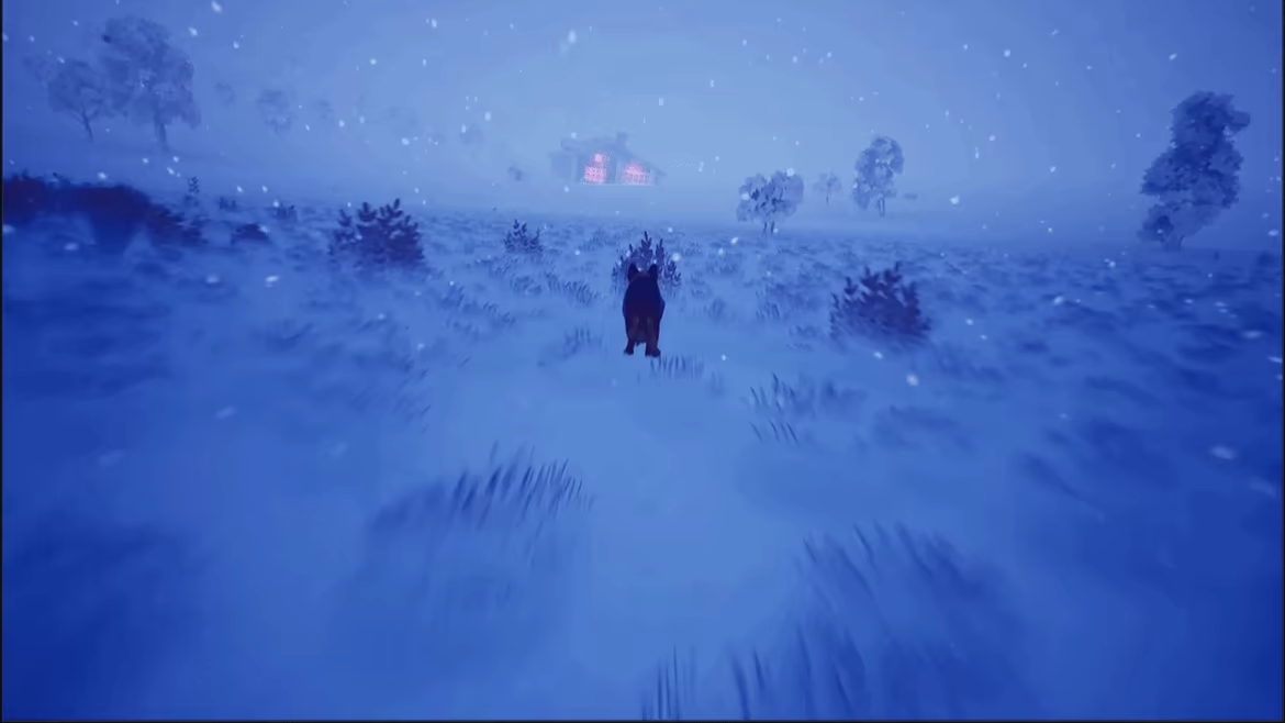 Left In The Forest video 1