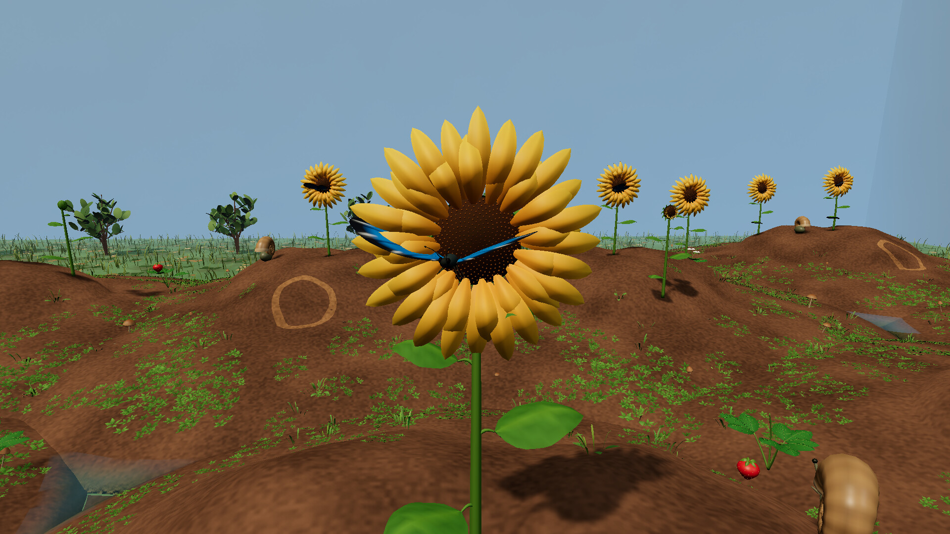 From a Single Seed