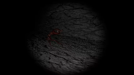 DIG! DIG! DIG! video 8