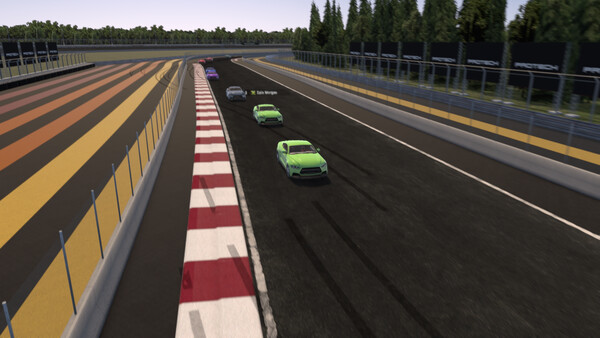 Скриншот 6 из игры SIM SPORTS RACING