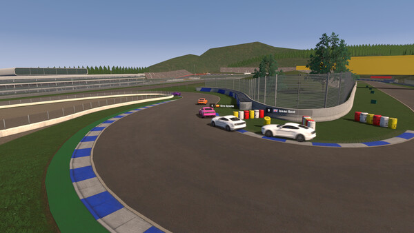 Скриншот 5 из игры SIM SPORTS RACING