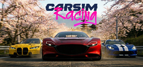 CarSim Racingの作品画像