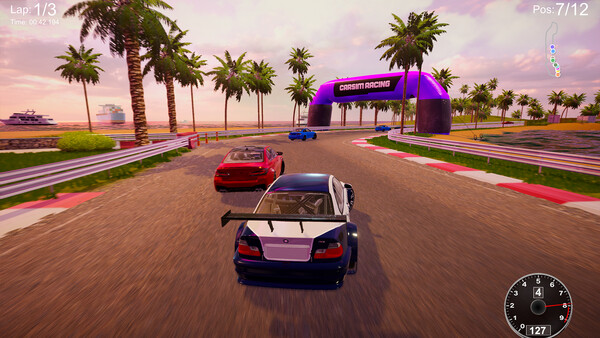 CarSim Racing screenshot 4