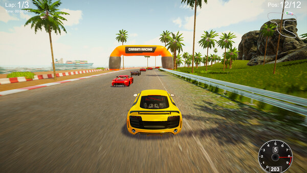 CarSim Racing screenshot 3