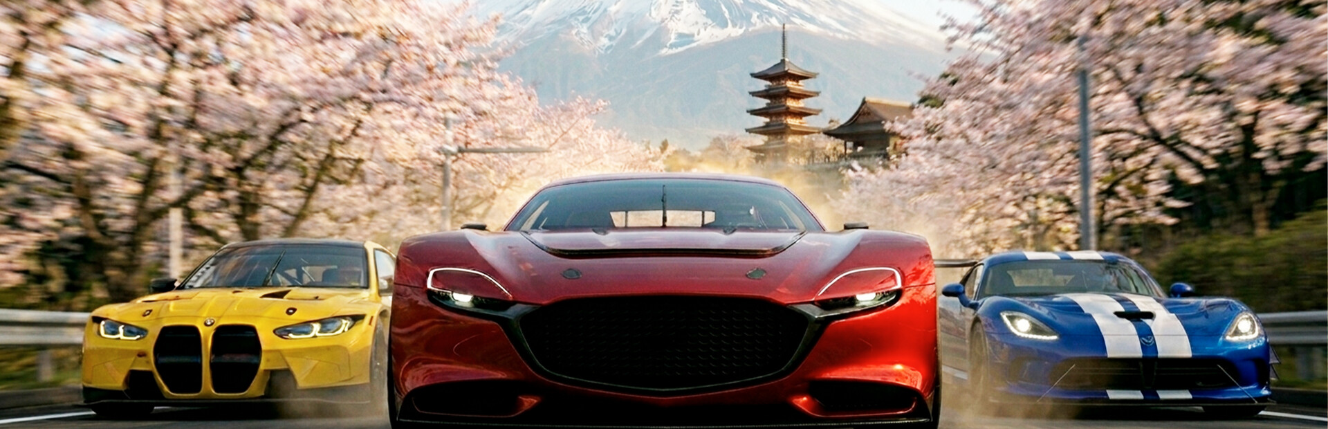 CarSim Racing