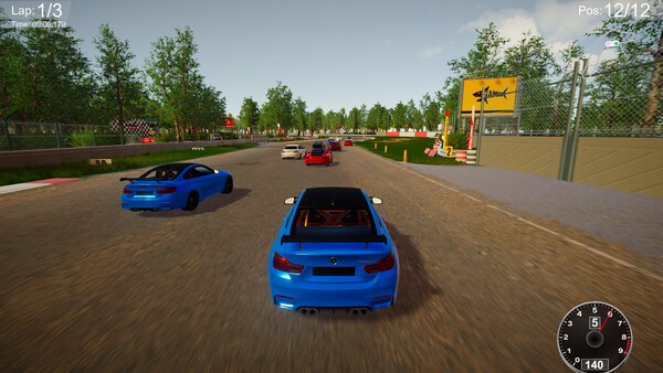 CarSim Racing screenshot 2