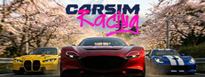 CarSim Racing