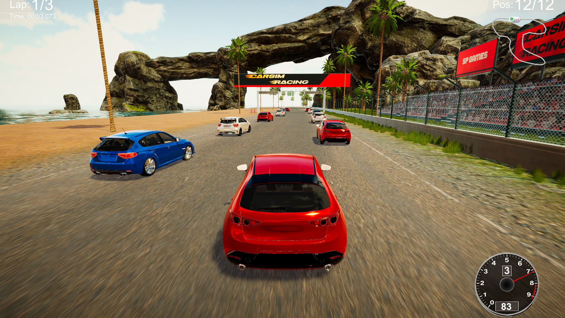 CarSim Racing screenshot 2