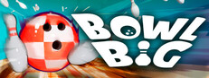 Bowl Big cover