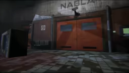 Invariant video 1