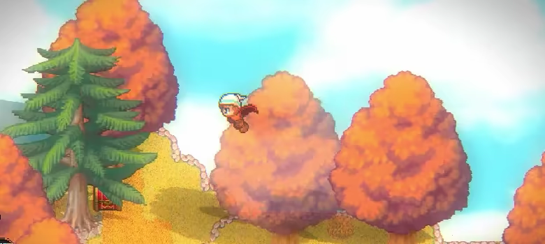 Little Master video 2