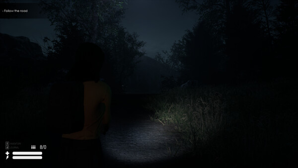 Скриншот 1 из игры Anatolian Horror Stories : Curse In Bayramdere