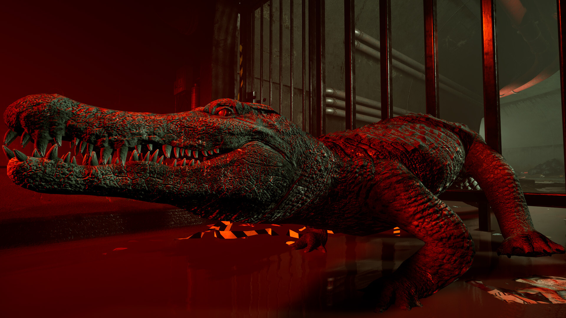 Crococo screenshot #3