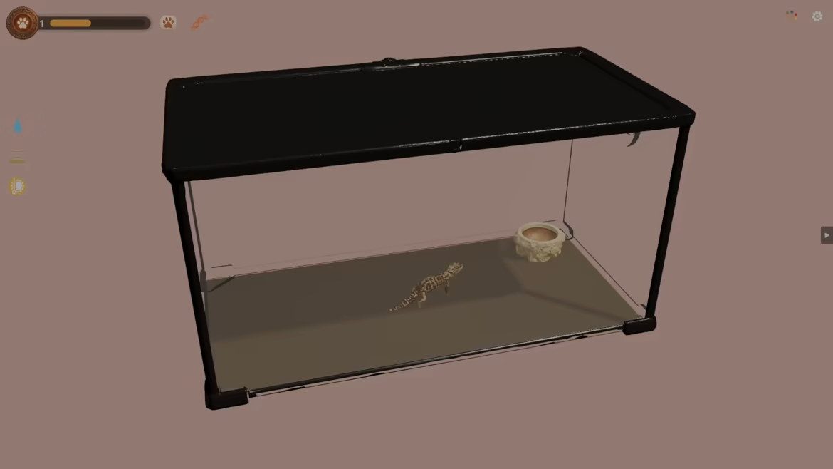 Desktop Reptiles video 2