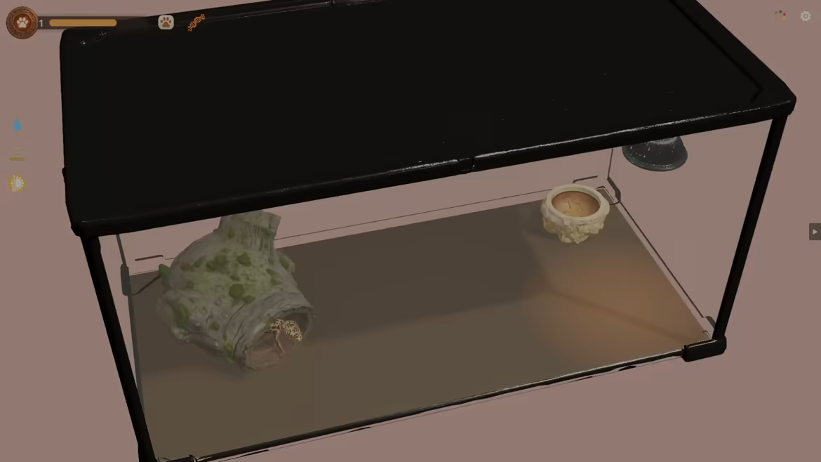 Desktop Reptiles video 4