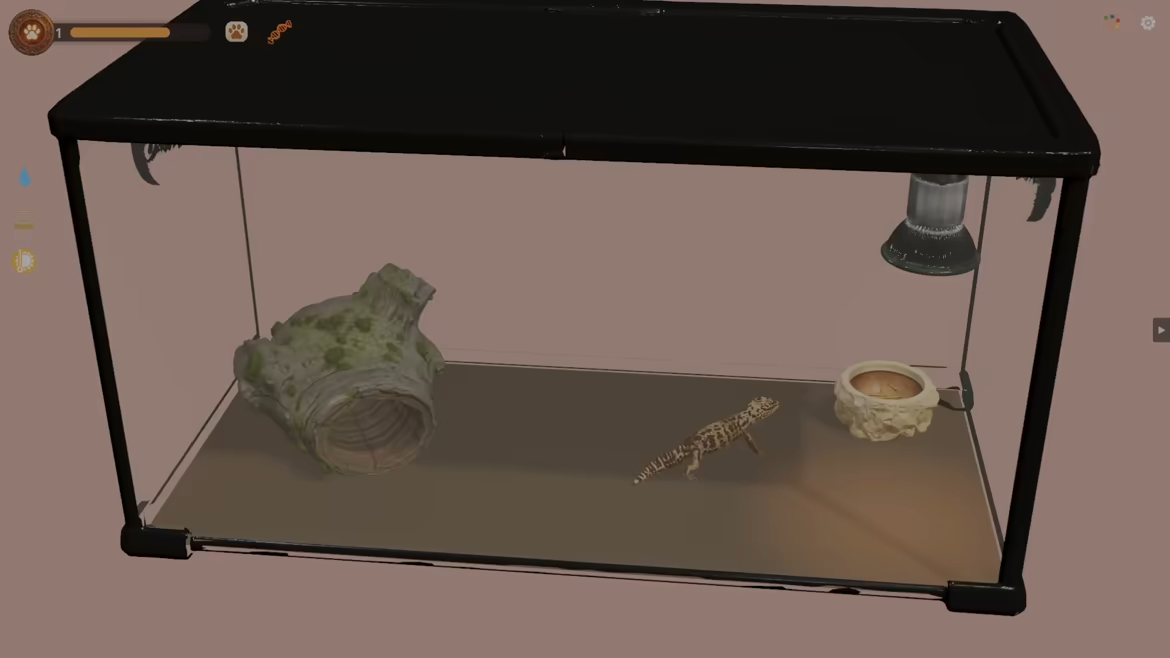 Desktop Reptiles video 3
