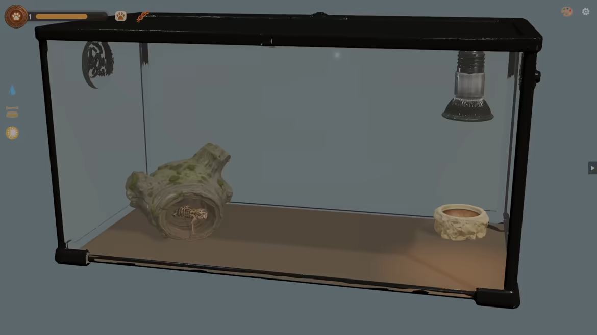 Desktop Reptiles video 5