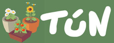 Tún