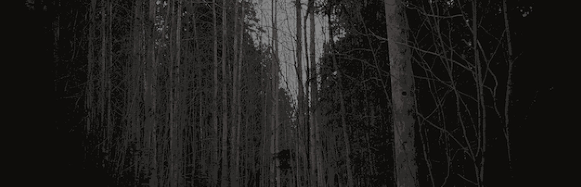 Blood Park