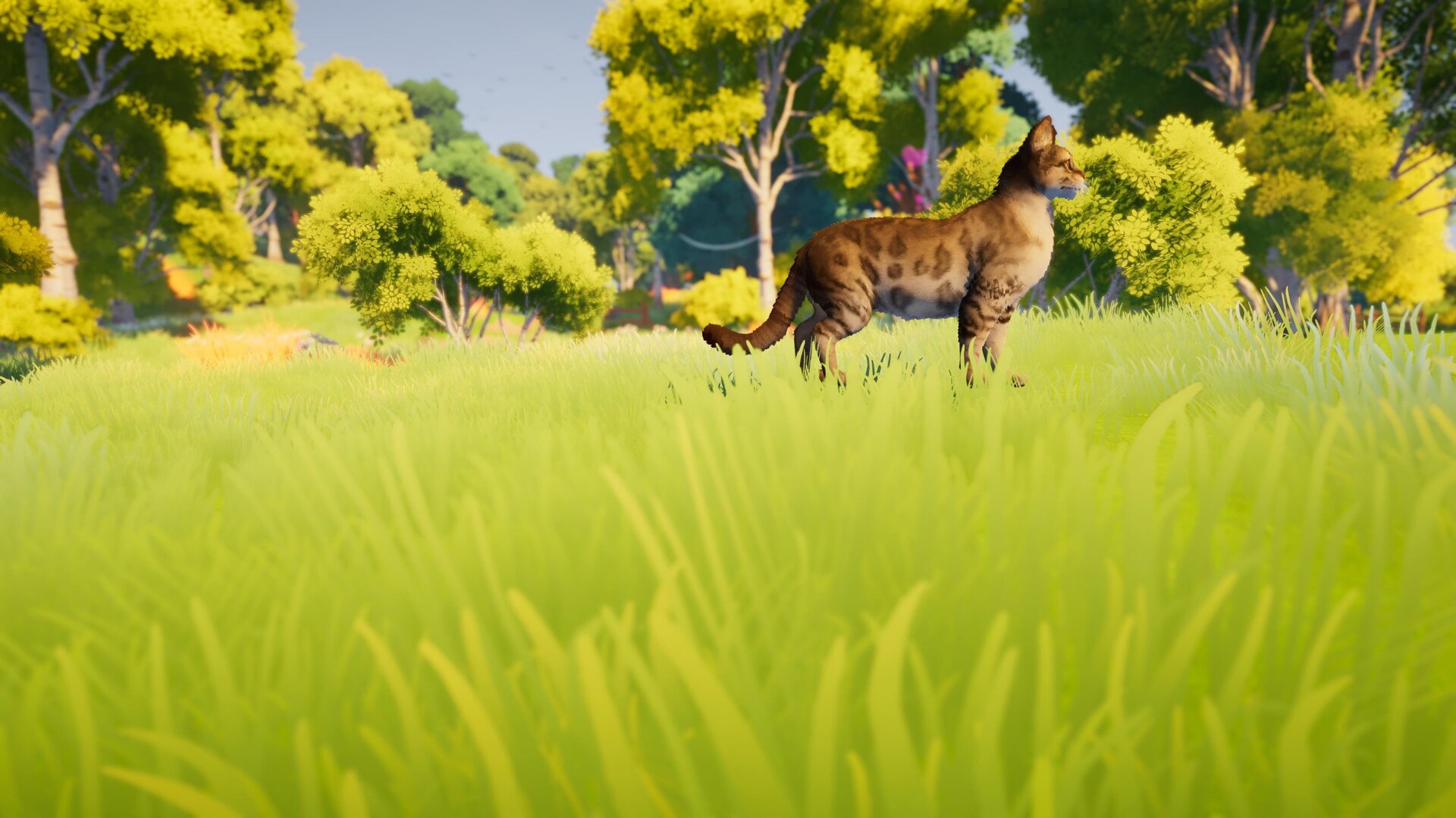Junebug screenshot #5