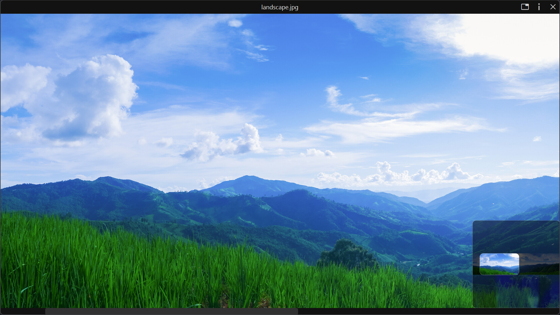 Seer screenshot 7