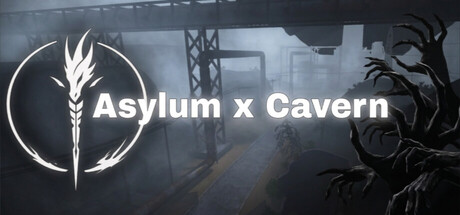 Asylum x Cavern Banner