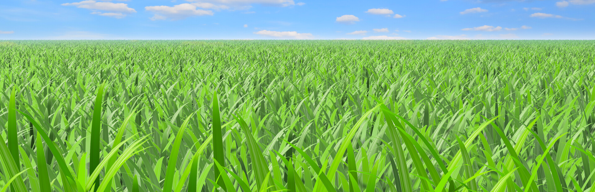 Grass Cutting Simulator