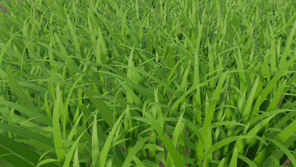 Grass Cutting Simulator スクリーンショット 5