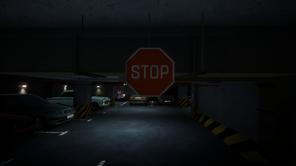 Can I Park? screenshot 2