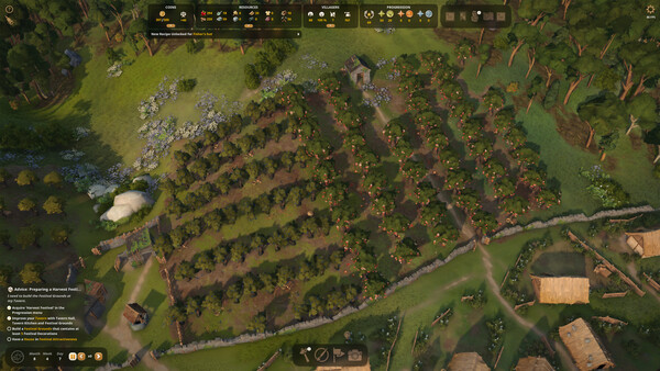 Foundation: Harvest Festival