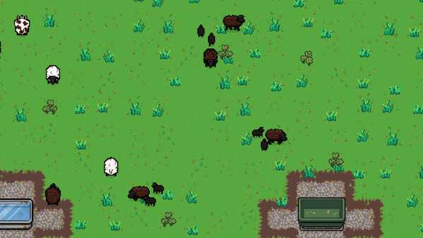 Sheepscape — 5